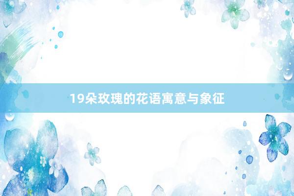 19朵玫瑰的花语寓意与象征